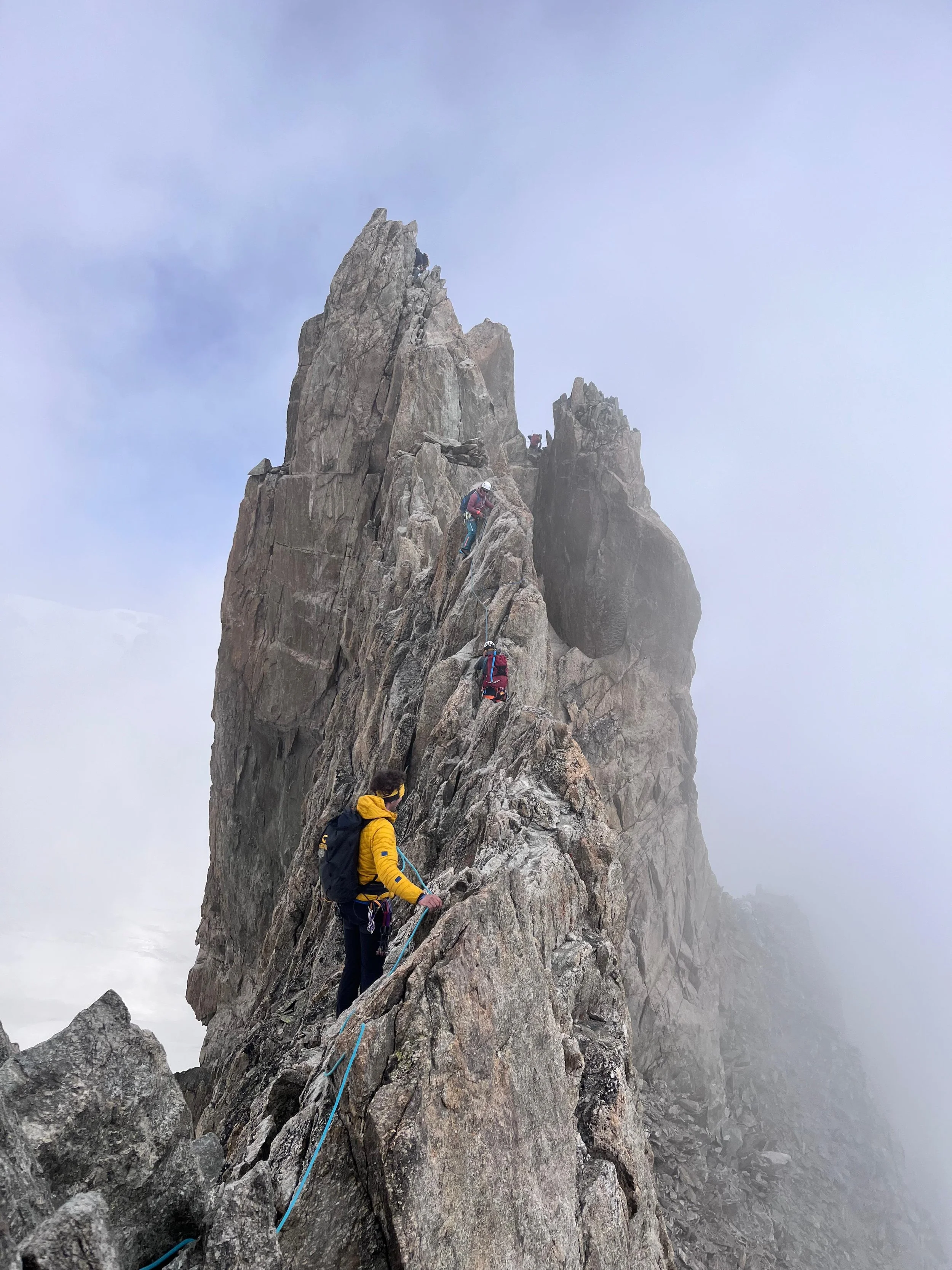 1e8691a7-1f39-44f5-ad35-3b2d0b2cdc1a.jfif