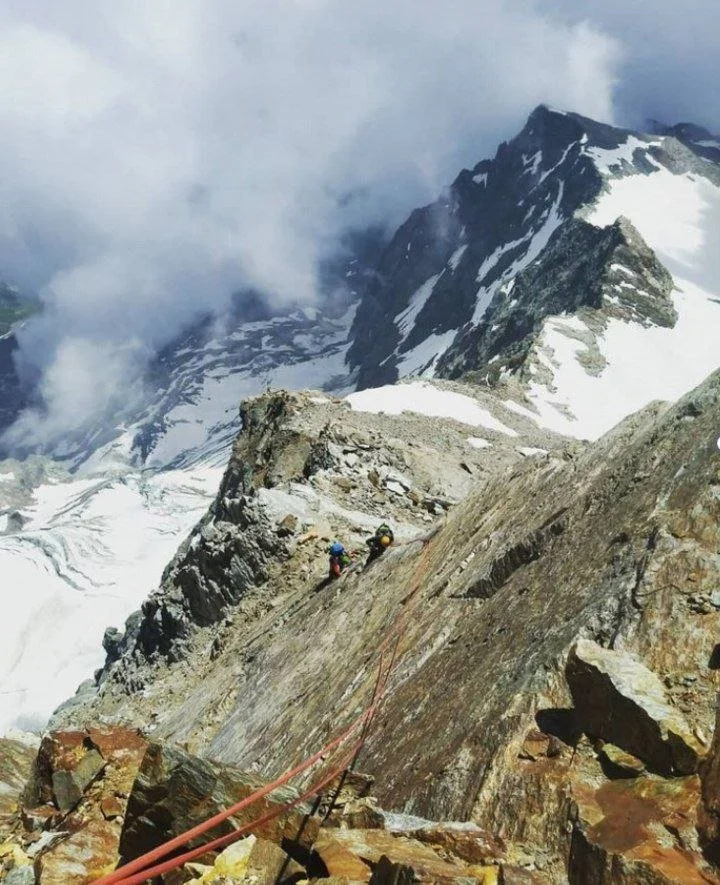 44ae5a7e-bc28-4dfc-a472-a1aa86a61056.jfif