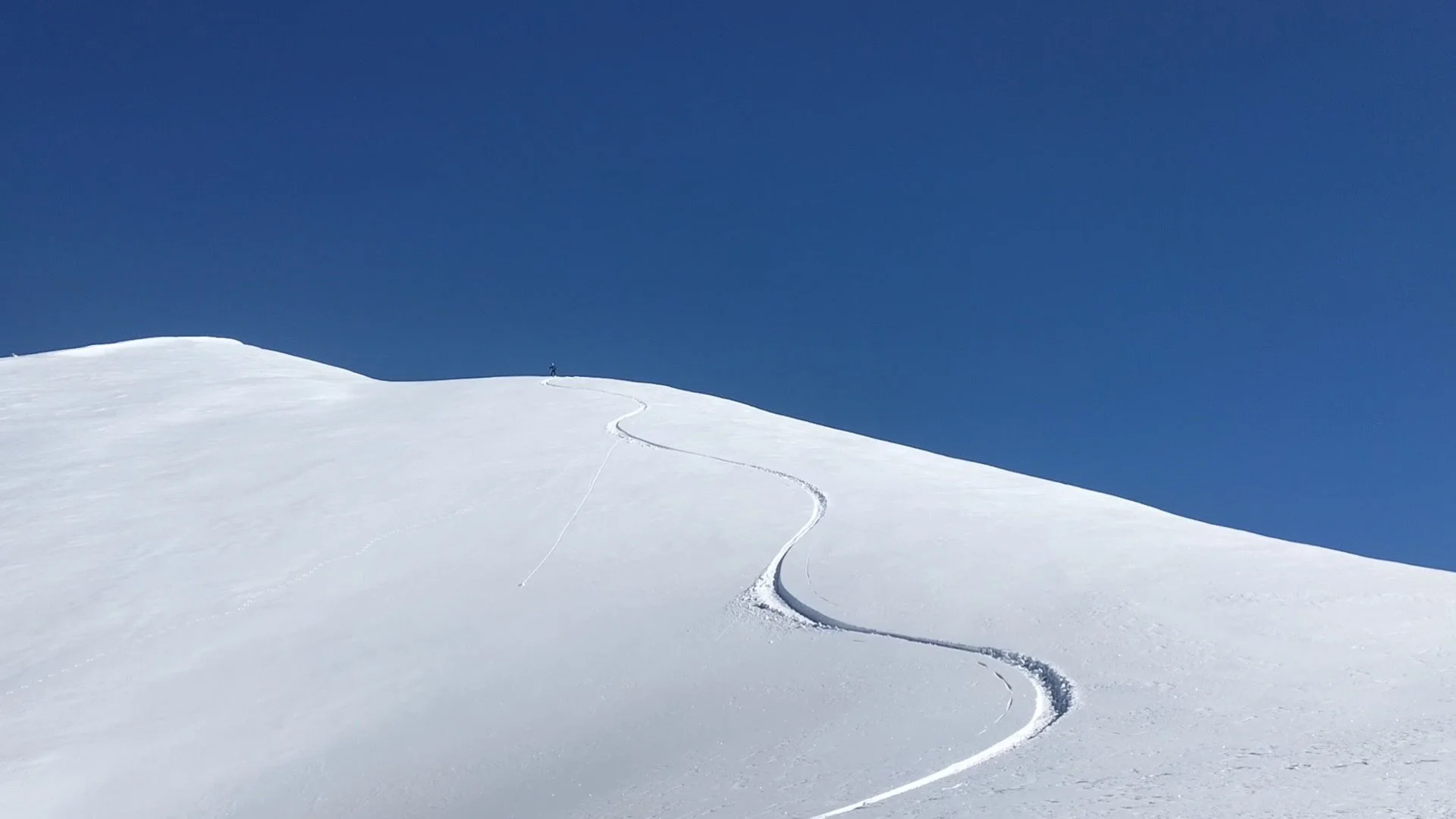 c4caecfb-4f21-4af0-ba04-885f57894cd1.jfif