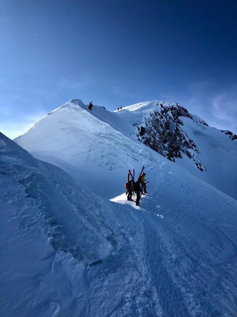 8d6b51a9-a930-4028-a6ff-d5fb2f67f989.jfif