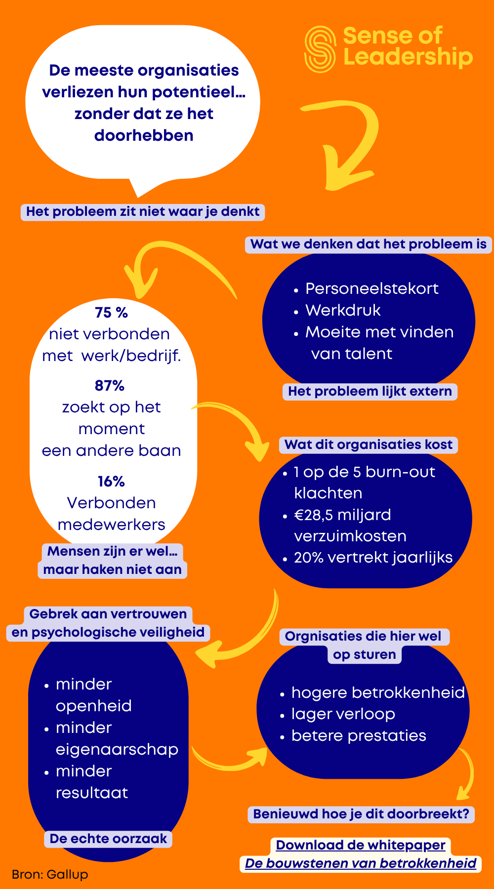 Een infographic met oranje achtergrond en blauwe en gele tekst, die het onderwerp leiderschap en organisatieprestaties behandelt.