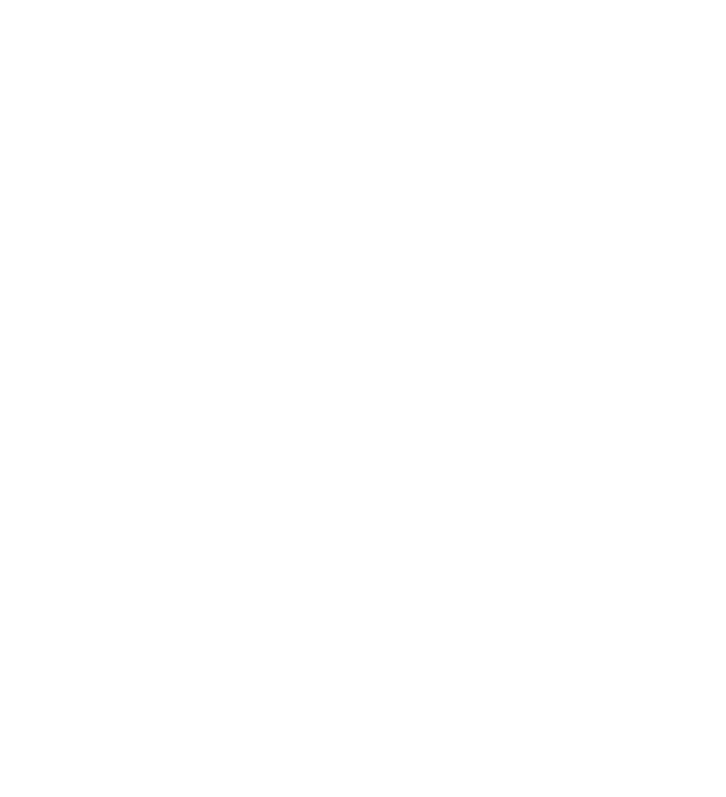 Line drawing of a vault door with its handle and bolts