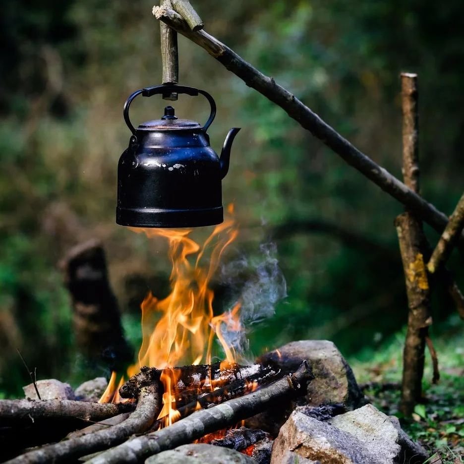 Een ideale winter-proof teambuilding nodig? 

🙋&zwj;♀️ Kom gezellig samen #bushcraften met de collegas met @insideout.be

👌 Een prachtige wandeling op het domein.
👌 Nieuwe kennis opdoen over planten, dieren, vuur maken, werken met natuurelementen.