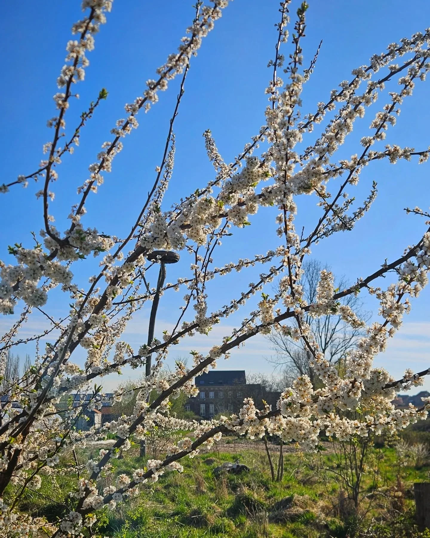 Uitzicht op de hoeve 👀🌱💮