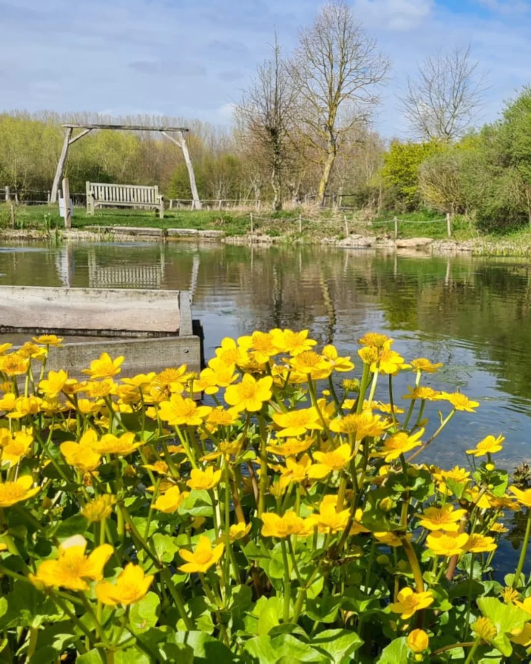 Kom je mee naar buiten?

En het is echt h&eacute;t moment om volop te genieten van de verandering die de lente meebrengt. Nieuwe blaadjes, de eerste bloemen, het gras dat weer volop groeit,&hellip;en veulentjes die worden geboren! Welkom Adriel, klei