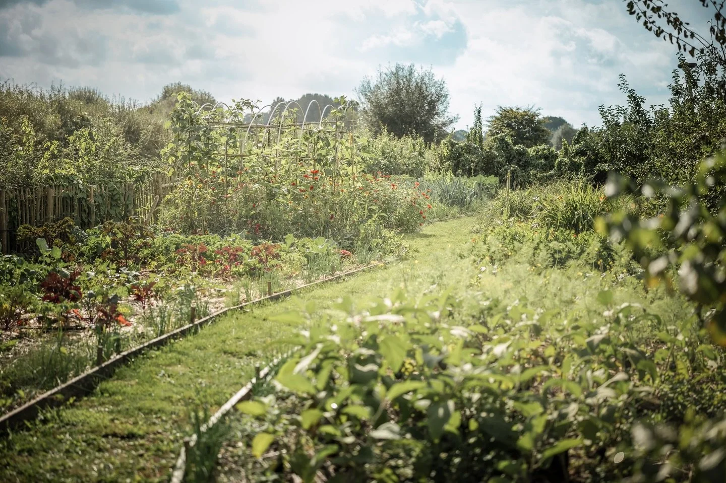 De natuur op je bord 🍅🥦🍓🥬

Dat is het beste voorbeeld van hoe wij de natuur tot bij onze gasten brengen.

Alles wat je voorgeschoteld krijgt tijdens een verblijf of evenement op de hoeve, is meer dan zomaar vers en gezond. Het maakt deel uit van 