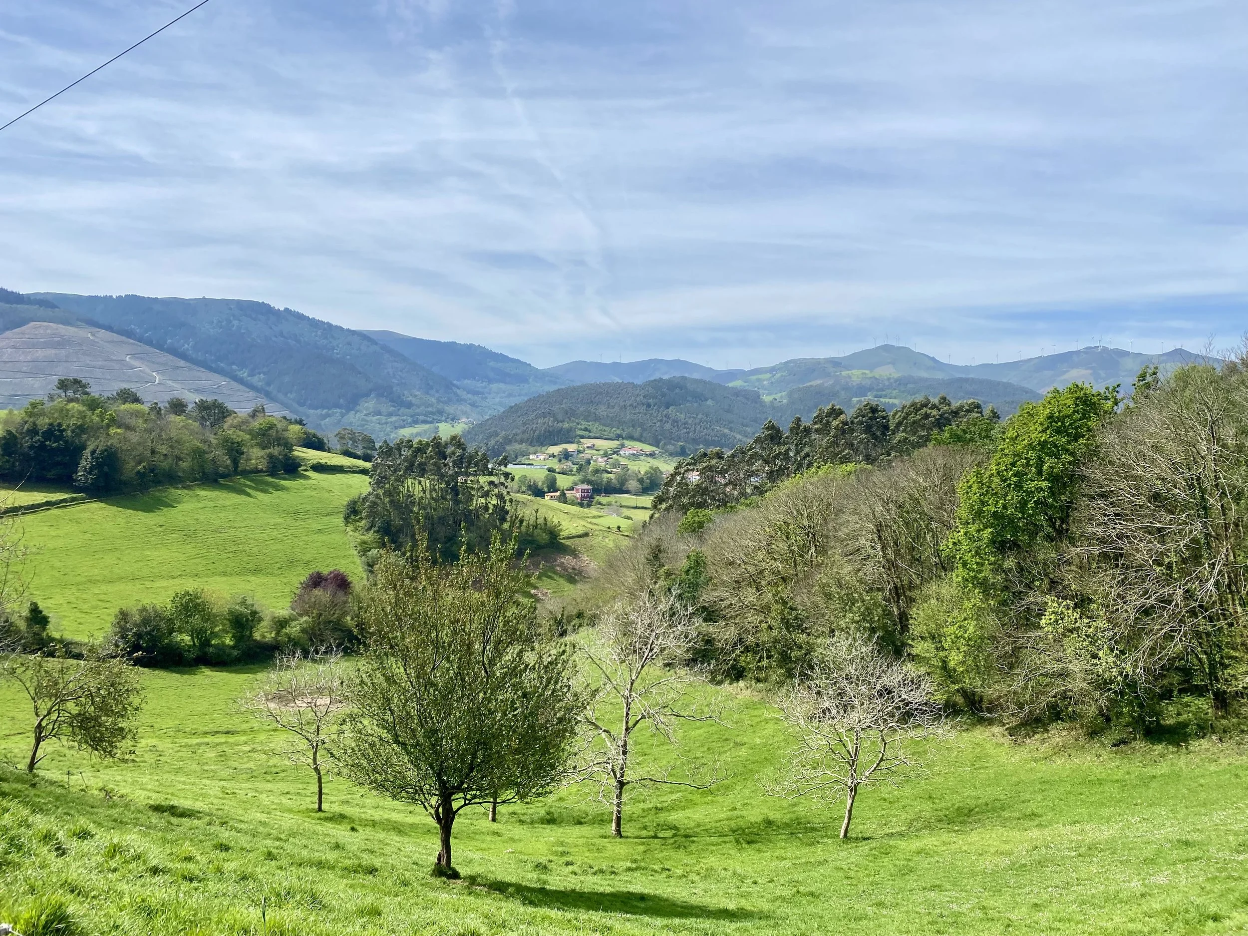 Camino Reflections Week One: Basking in Basque