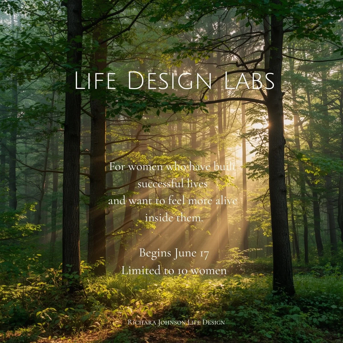 You can build a beautiful life on paper
and still not feel fully alive inside it.

Life Design Labs is a small 12-week guided experience for women who want to slow down, reconnect with themselves, discover wonder and joy again, and design lives that 
