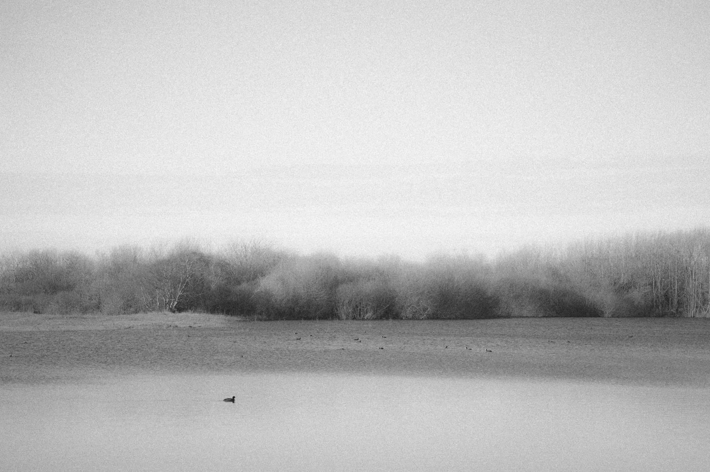 some postcards souvenirs 🔗