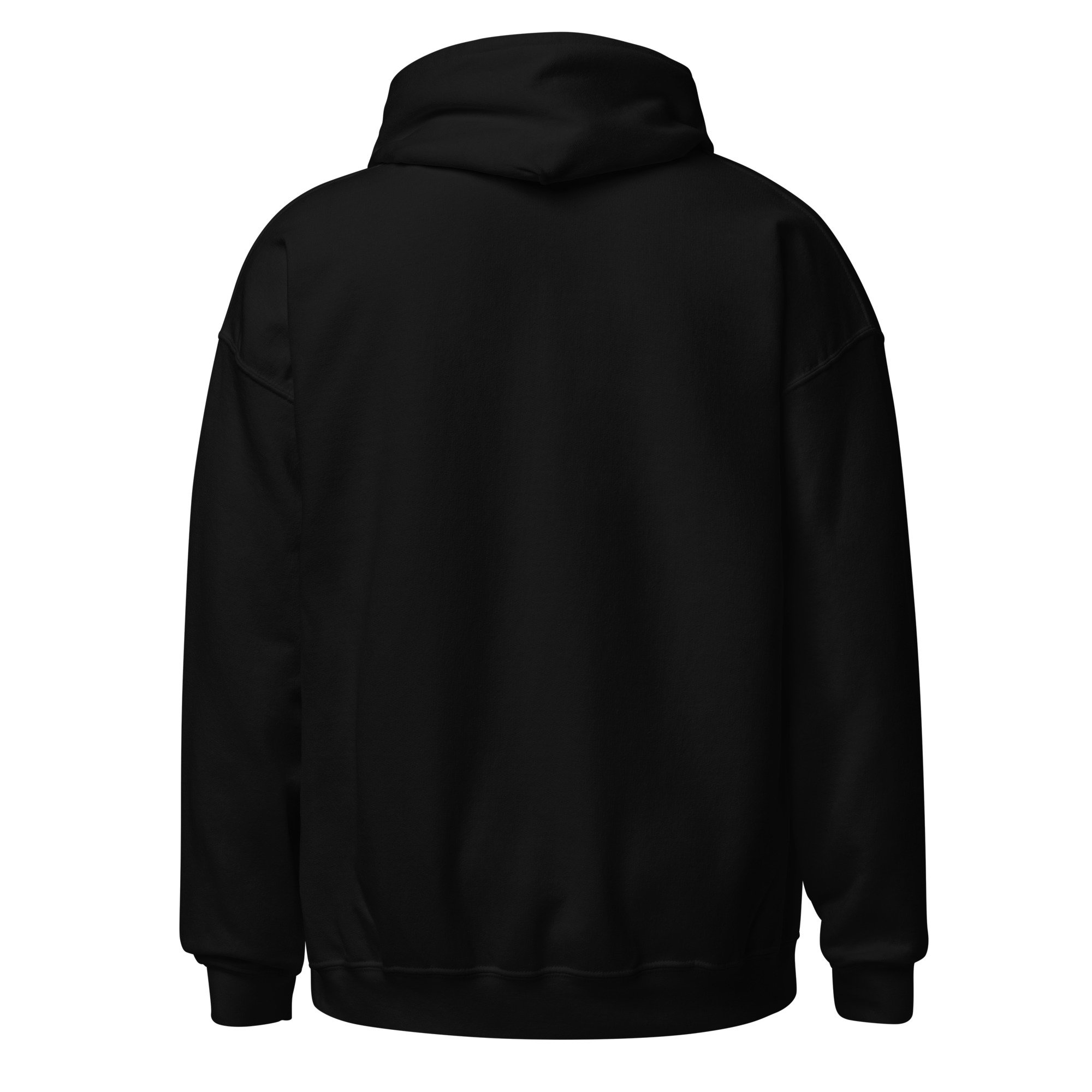 unisex-heavy-blend-hoodie-black-back-675c3fe45212d.jpg