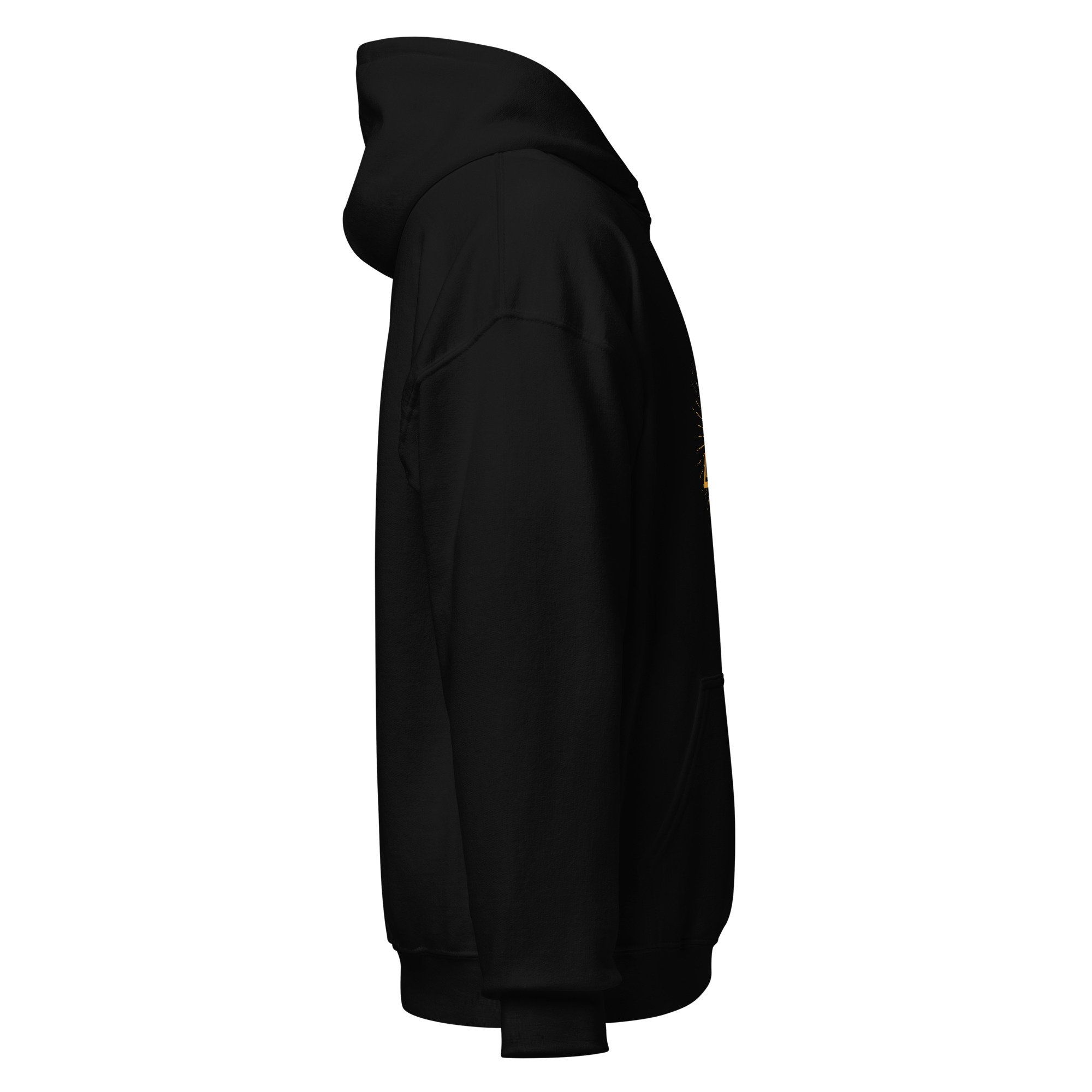 unisex-heavy-blend-hoodie-black-right-675c3fe453854.jpg
