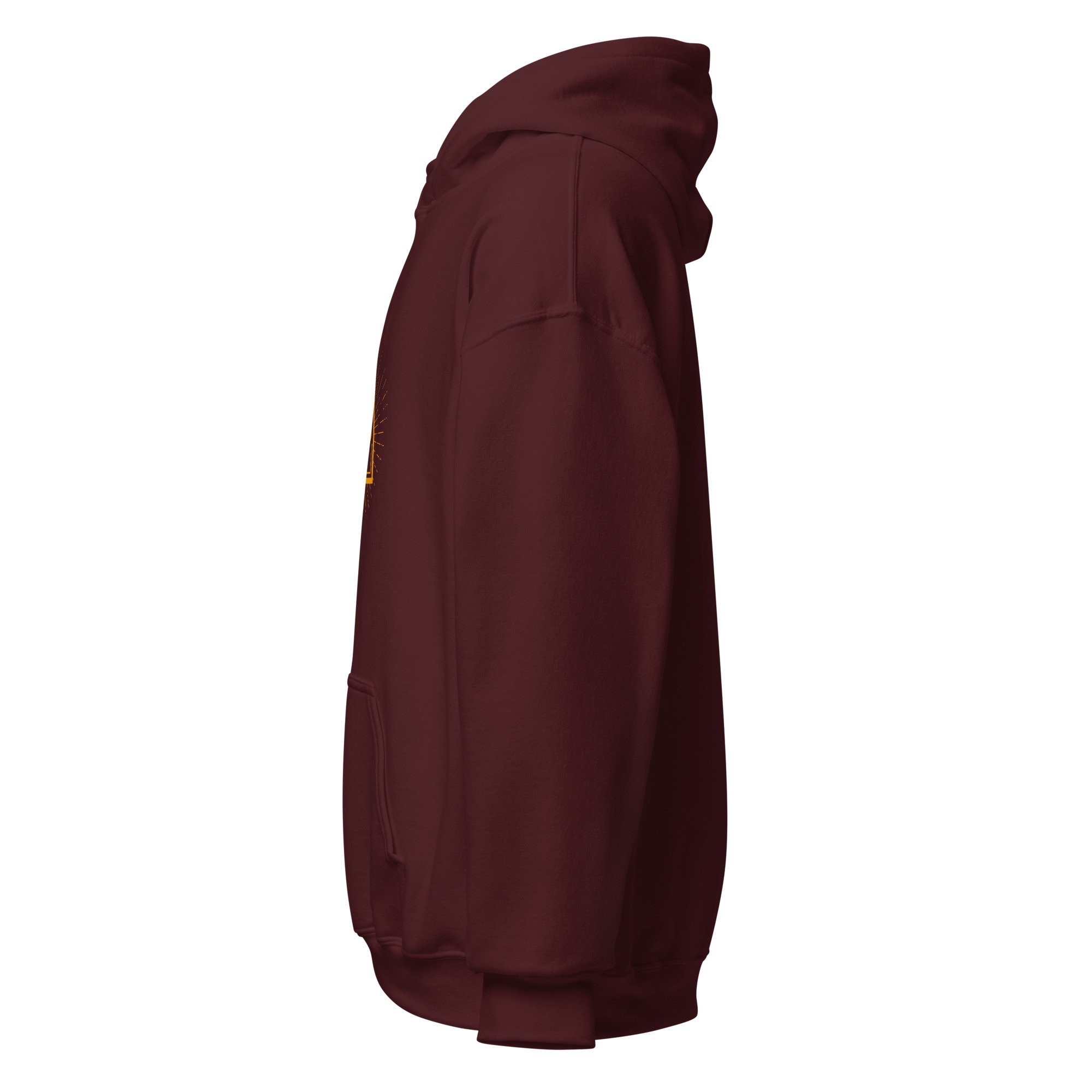 unisex-heavy-blend-hoodie-maroon-left-675c3fe464645.jpg