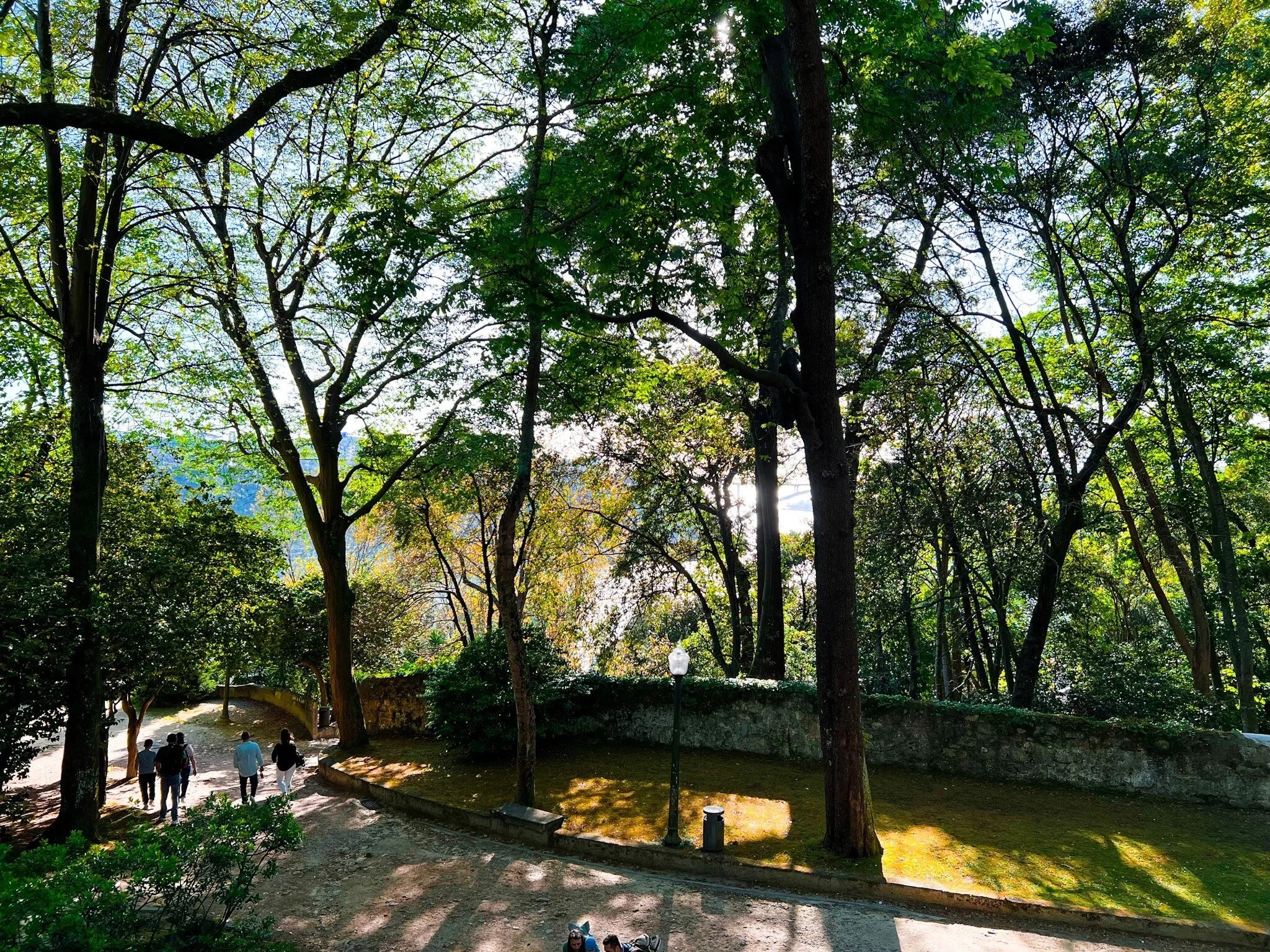 Shady tree-lined paths in the Crystal Palace Gardens in Porto with space for children to play
