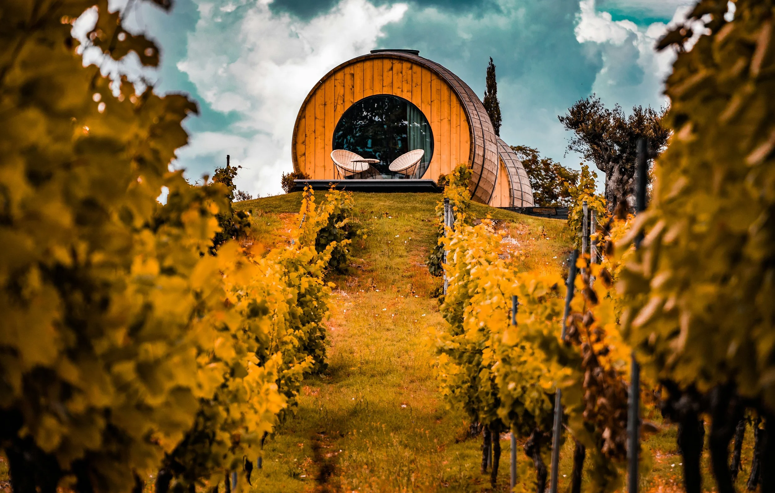 Orange tinted vineyard in the Douro Valley with accommodations resembling a wine barrel, surrounded by rows of grapevines under a cloudy sky.