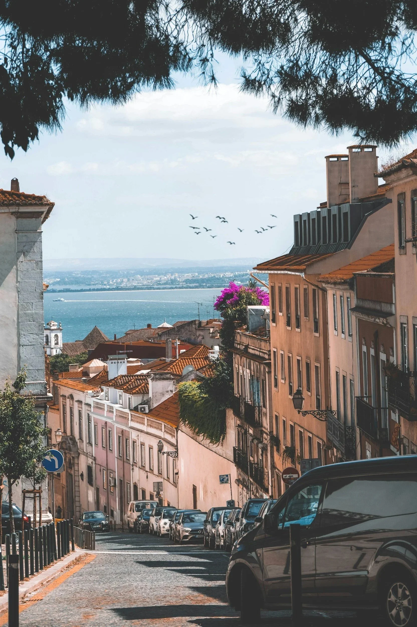 Streets of Alfama Overlooking the Bay