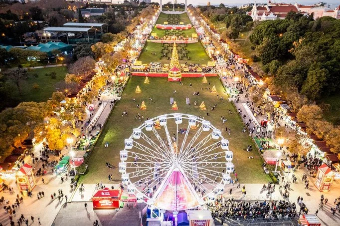 Winter_Wonderland_Lisbon_Park_Landscape.jpg