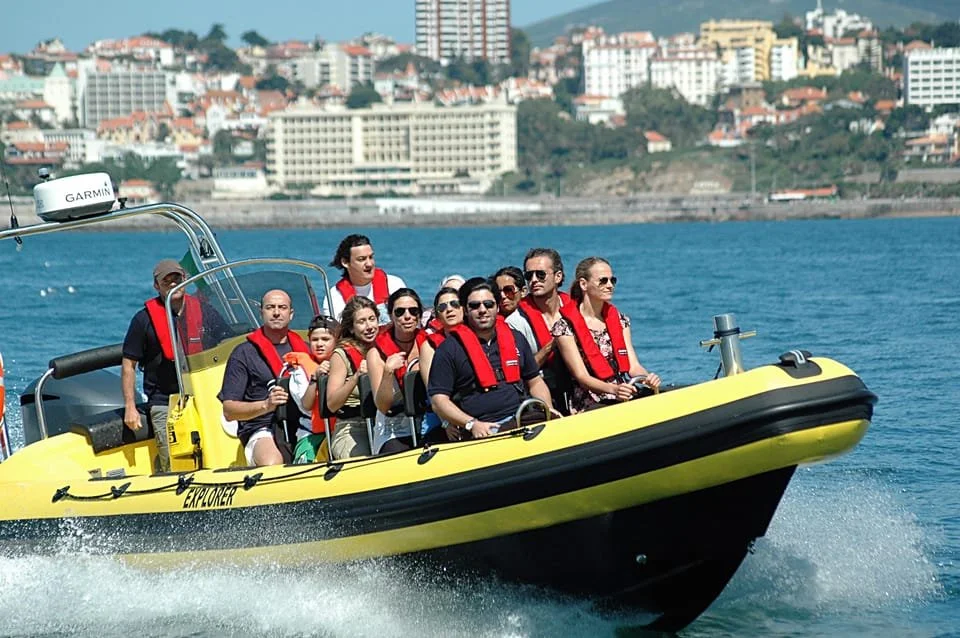 Dolphin_Watching_Speedboat_Cascais_GYG.jpg
