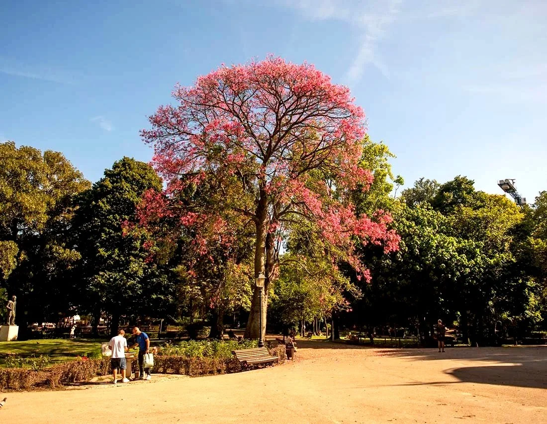 Jardim da Estrela Lisbon with children