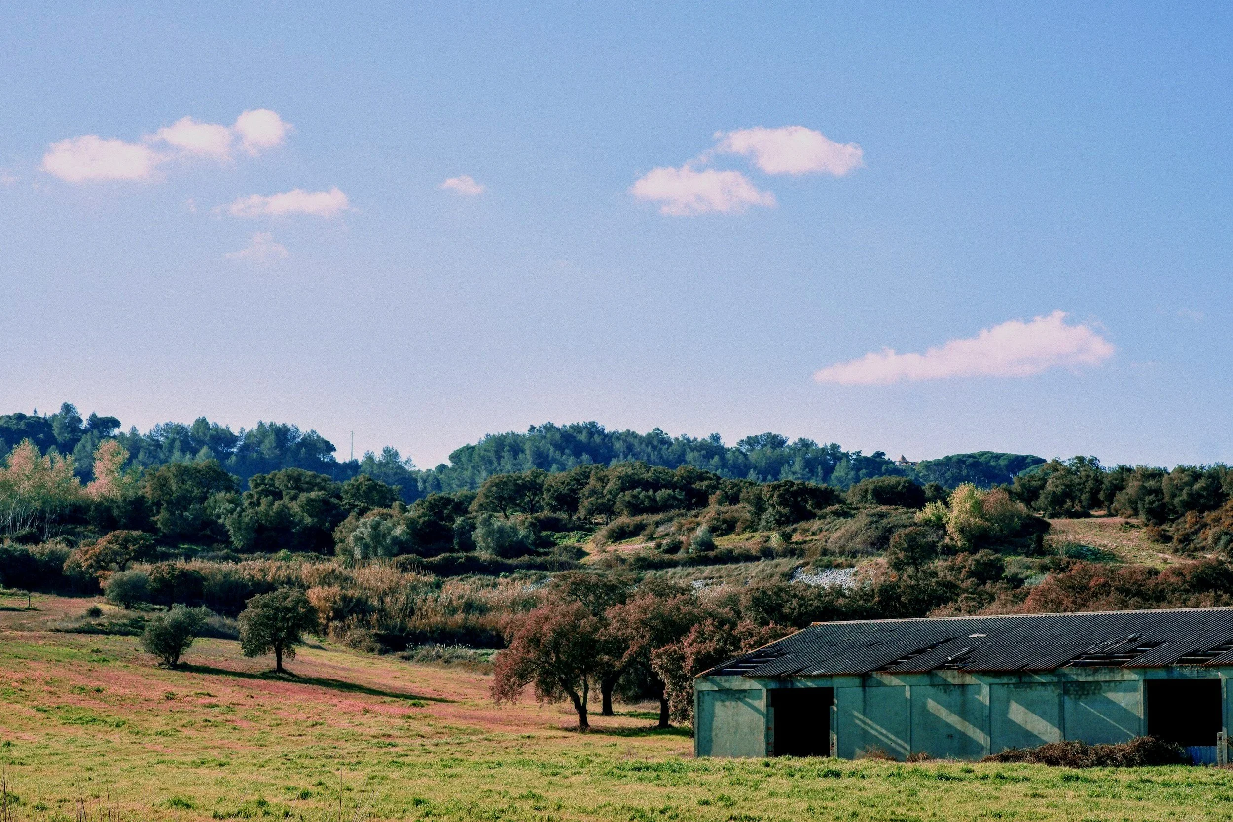 arrabida-wine-region-vineyards-countryside-portugal.jpg