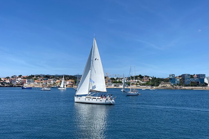 Cascais Day Trip from Lisbon: The Atlantic Coast Adventure You Didn’t Know You Needed