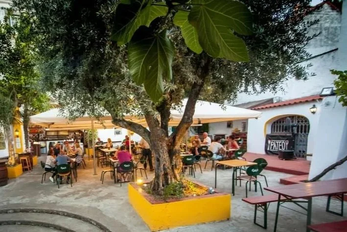 Warm outdoor patio seating with greenery at Páteo