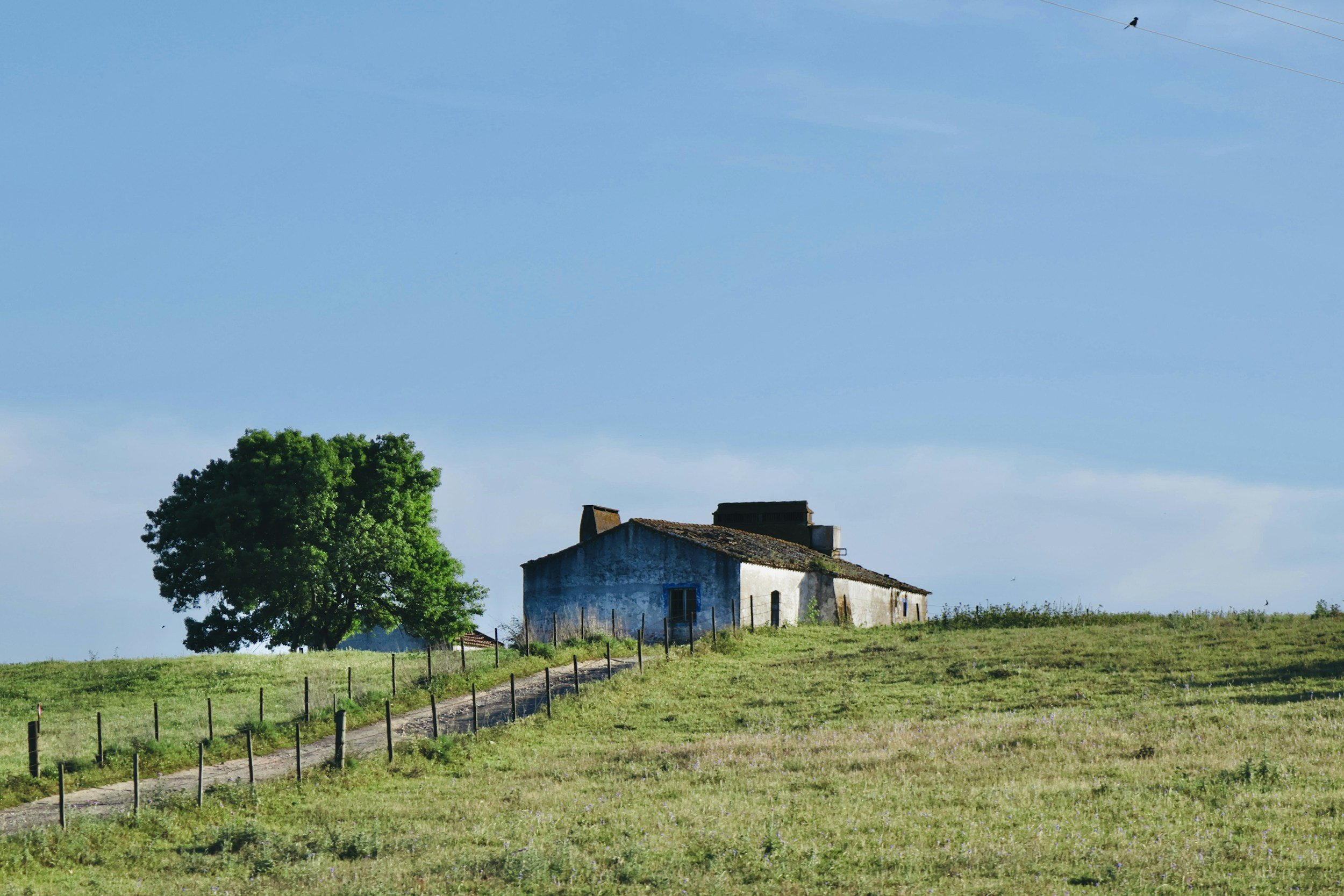 Small rustic outbuilding on a hill in the Alentejo countryside