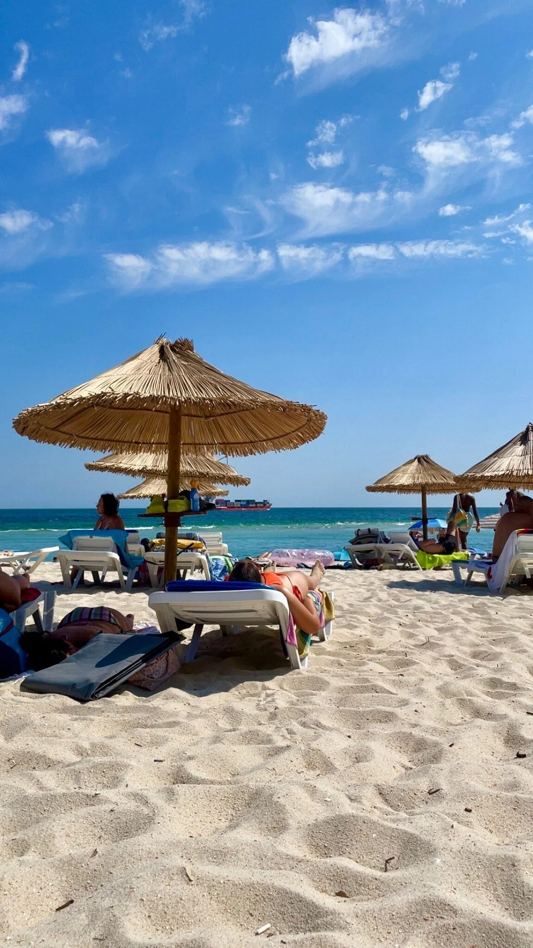 praia-da-figueirinha-umbrella-sunbathing-arrabida-portugal.webp