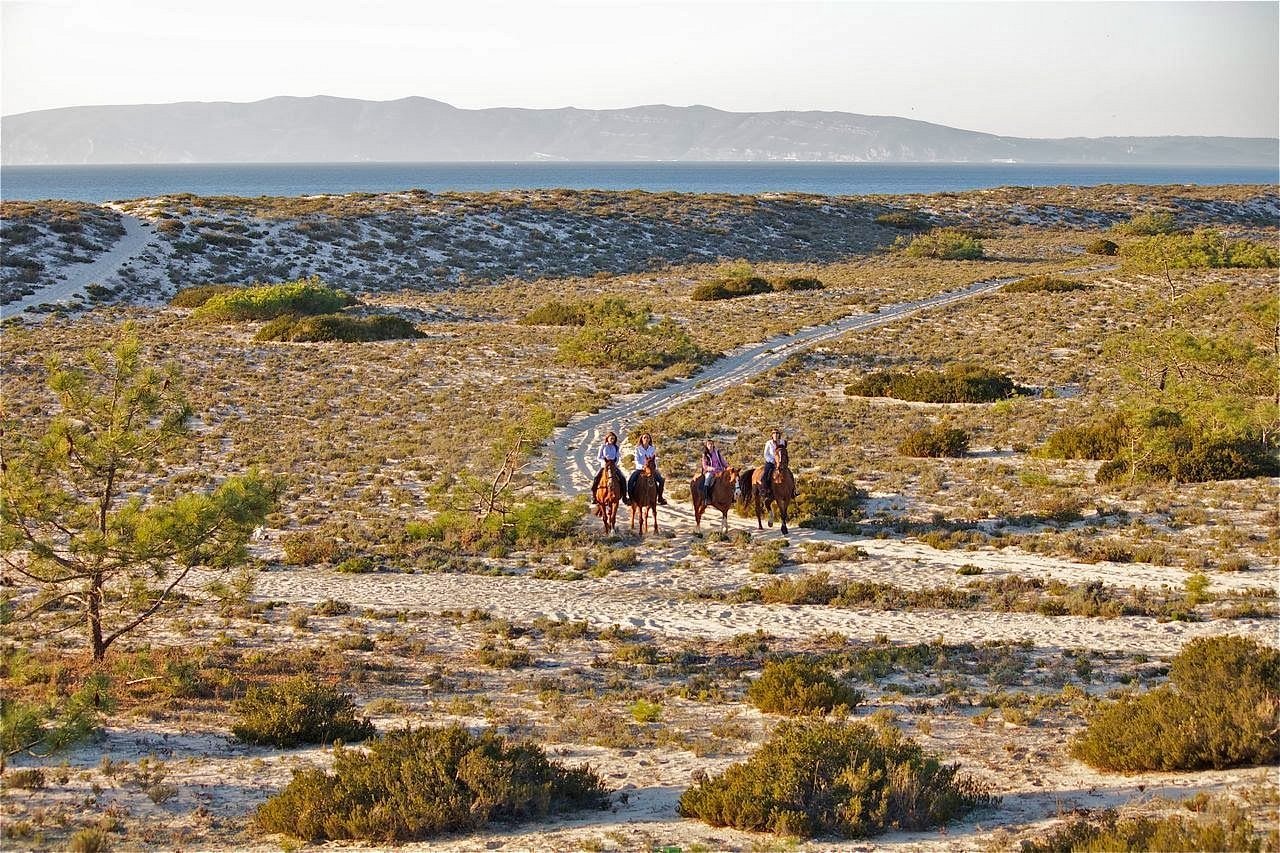 comporta-horseback-riding-sandy-dunes-alentejo-coast-portugal.webp