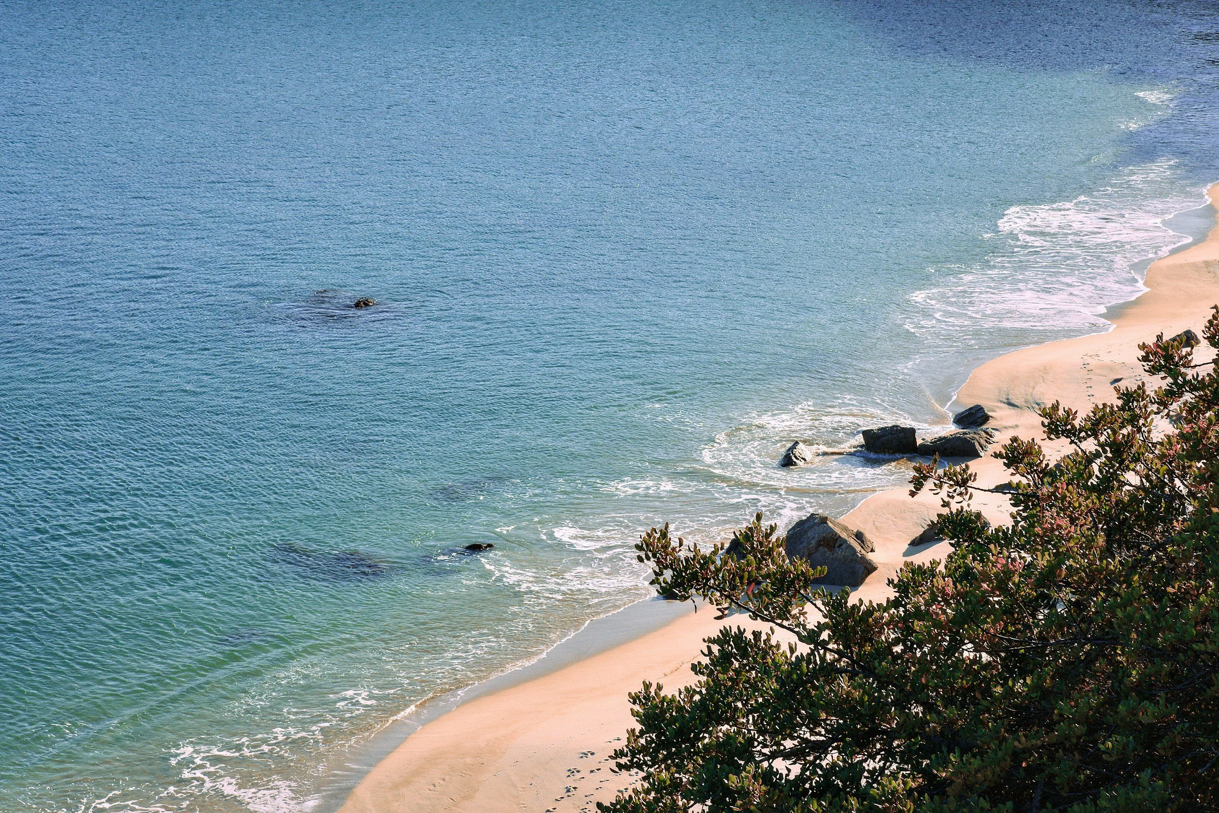 comporta-beach-atlantic-coast-portugal.jpg