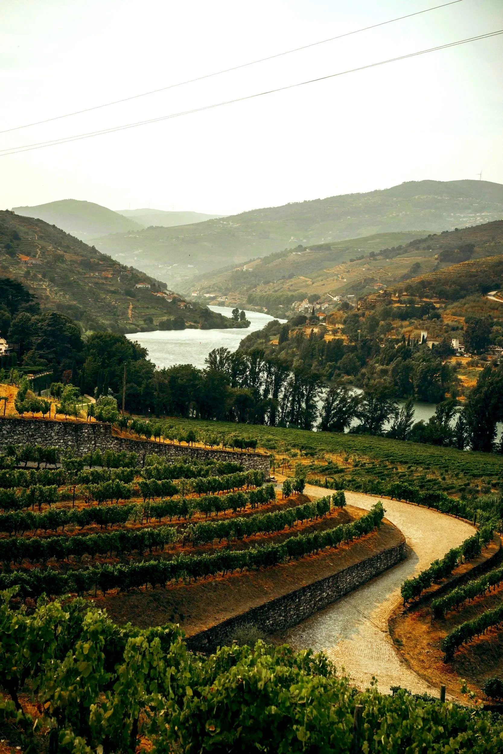 douro-valley-vineyards-portugal.jpg