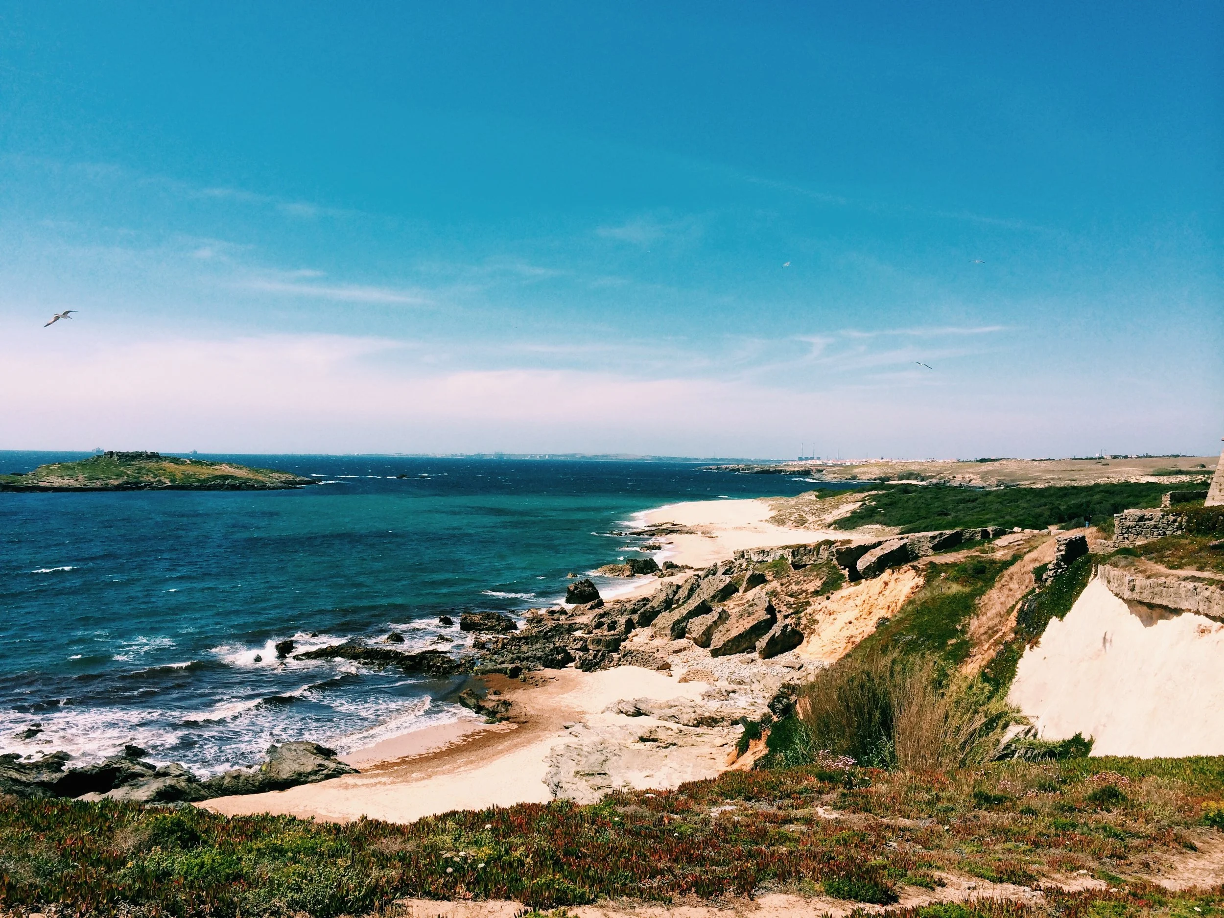 ilha-do-pessegueiro-beach-costa-vicentina-portugal.jpg