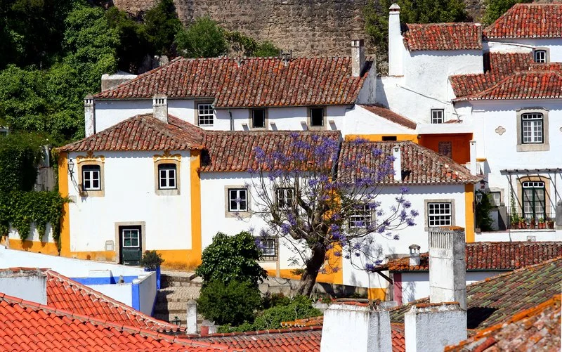 Charming village houses in Óbidos, Portugal, with tiled roofs, white walls, and yellow trims, surrounded by lush greenery and a blooming lavender jacaranda tree.