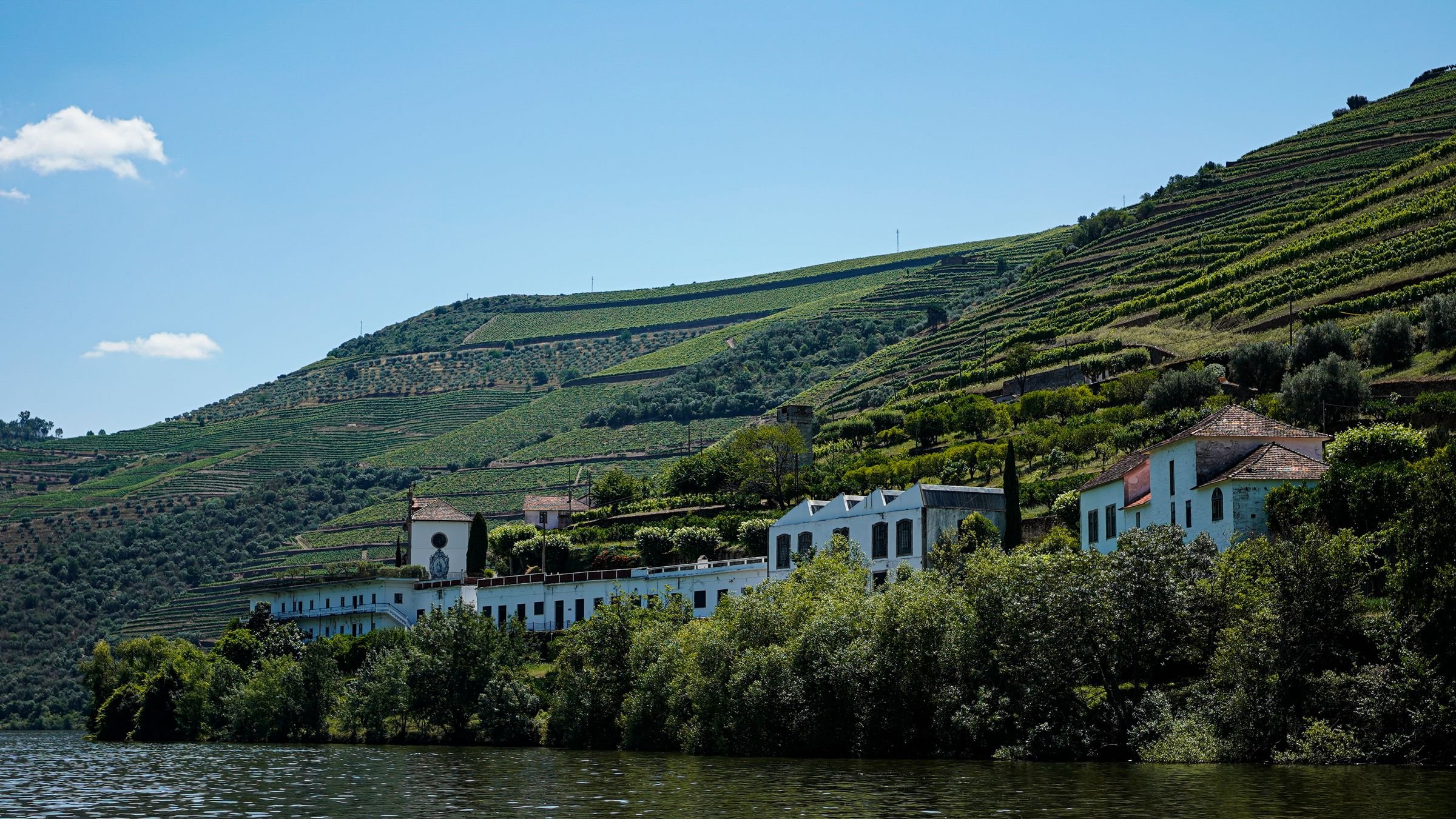 Traditional Portuguese quinta nestled along the banks of the Douro River, surrounded by terraced vineyards and rolling hills in Portugal’s scenic Douro Valley.