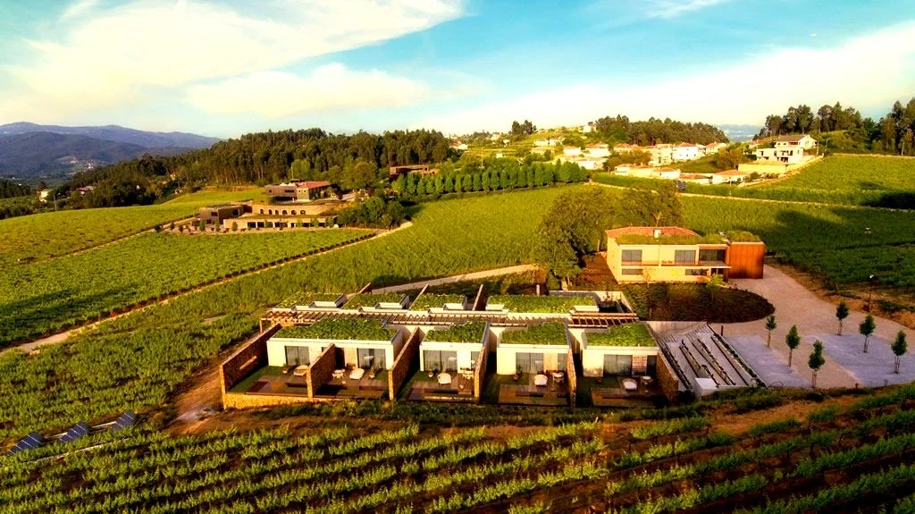 Aerial view of Monverde Wine Experience Hotel in the Montverde Region, showcasing modern buildings surrounded by lush green grapevines and rolling hills under a blue sky with scattered clouds.