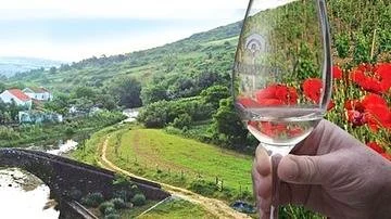 Port wine tasting at a charming local winery overlooking the vineyards and countryside near the picturesque town of Ericeira, Portugal.