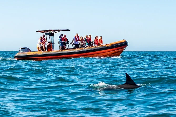 Tourists enjoying a thrilling dolphin watching experience as dolphins leap from the waters off the coast of Cascais, Portugal
