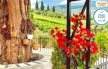 Scenic vineyard at Quinta da Salada in the Douro Valley, featuring vibrant red flowers and a tree amidst lush grapevines.
