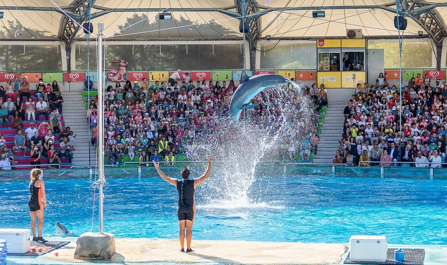 Dolphin performing a jump at an aquarium show with trainers and a large audience watching. at the Lisbon Zoo