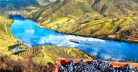 Scenic view of the Douro River with vineyards and a boat, foreground has grapes in a basket.