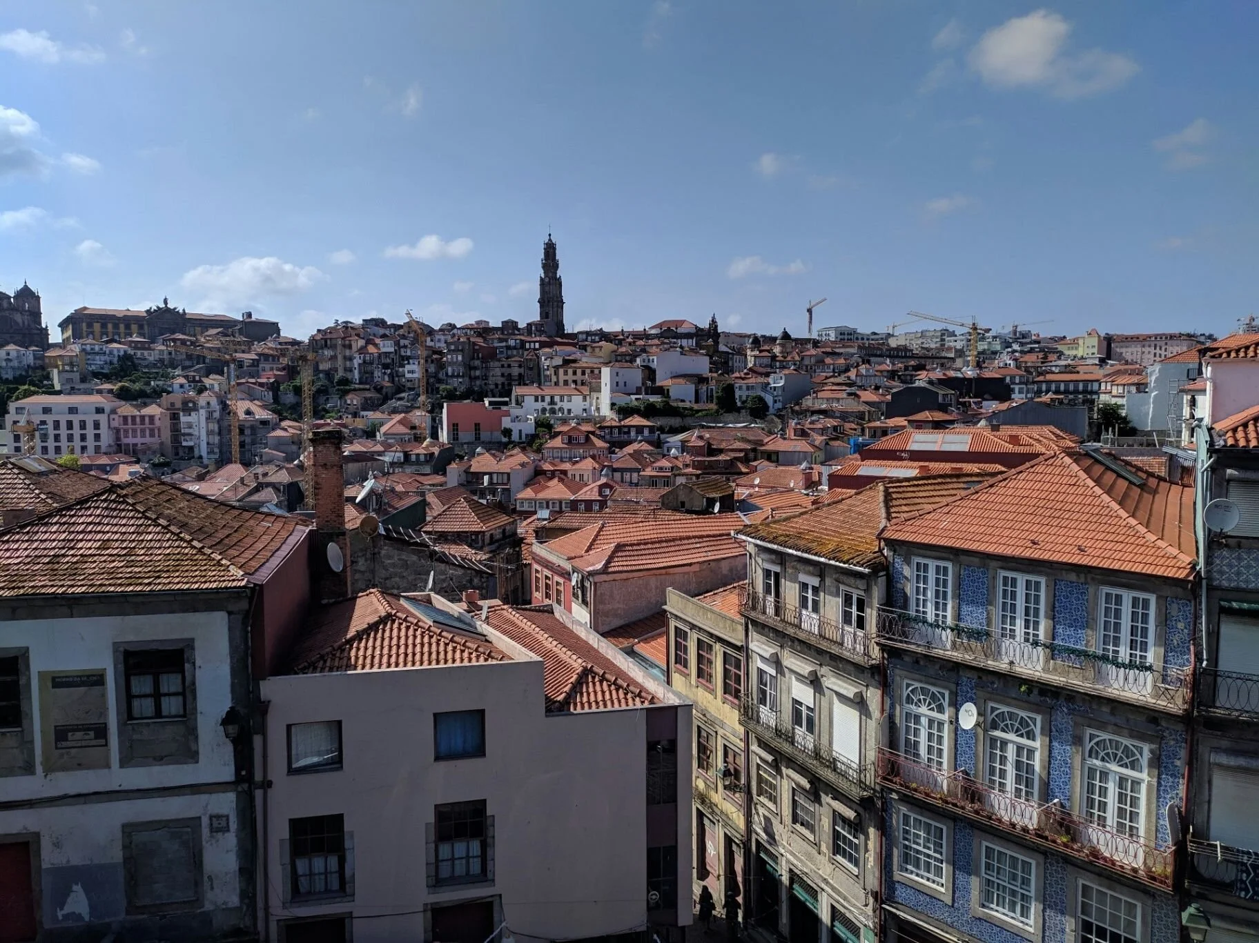 Rooftops of Porto with terracotta tiles and azulejo facades, the Clerigos Tower rising above the city under a blue sky.