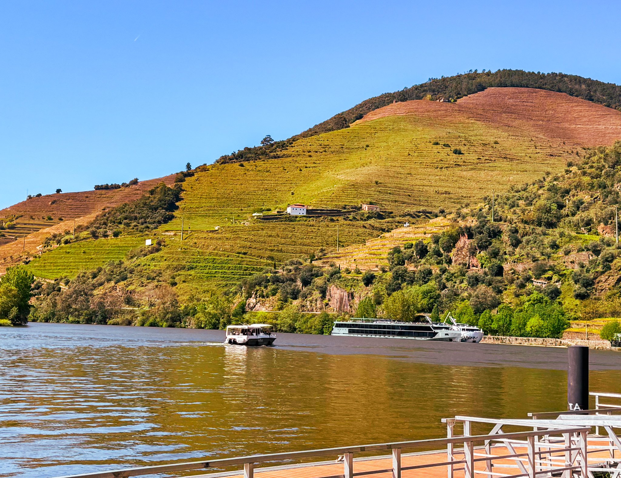 Aerial view of the Douro River winding through the Douro Valley in Portugal, surrounded by terraced vineyards displaying vibrant autumn colors.