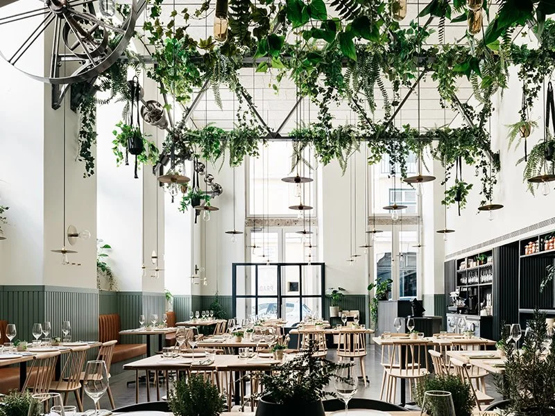 A light and airy restaurant accented with greenery sets the stage for a farm to table experience at Prado restaurant in Lisbon.