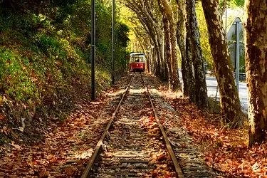 Scenic view of the Sintra tram journeying through the tranquil Autumn landscape to the coastal areas of Praia Maçãs.