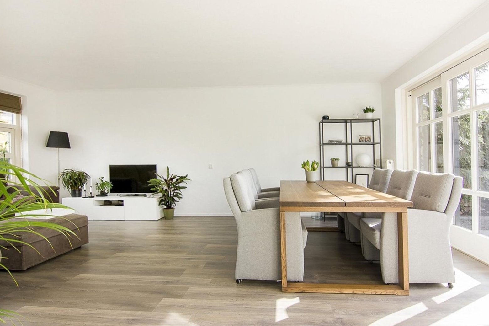 Woonkamer met eettafel en banken, veel planten en grote ramen met uitzicht op buiten.