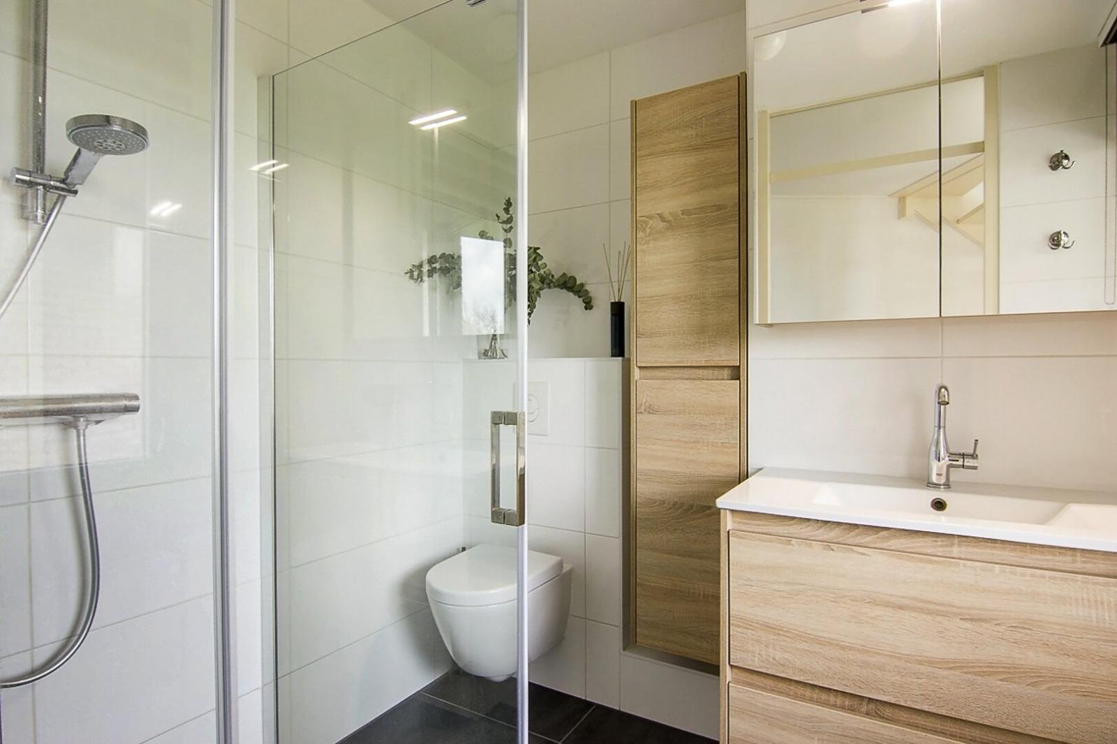 Moderne badkamer met inloopdouche, houten kast en spiegelkast, witte wastafel, toilet en enkele groene planten.