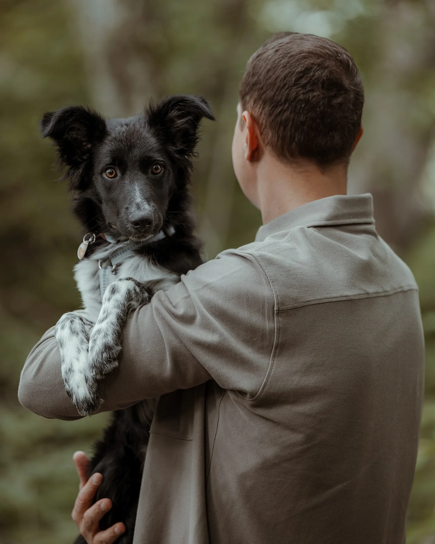 Zweiter Versuch &ndash; voller Erfolg.
Charlie durfte nochmal vor die Kamera &ndash; dieses Mal im Wald, bei ruhiger Stimmung und neuer Location 🌿

Anfangs dachte ich noch: Lass uns lieber nicht zu lang machen, damit er nicht m&uuml;de wird.
Spoiler