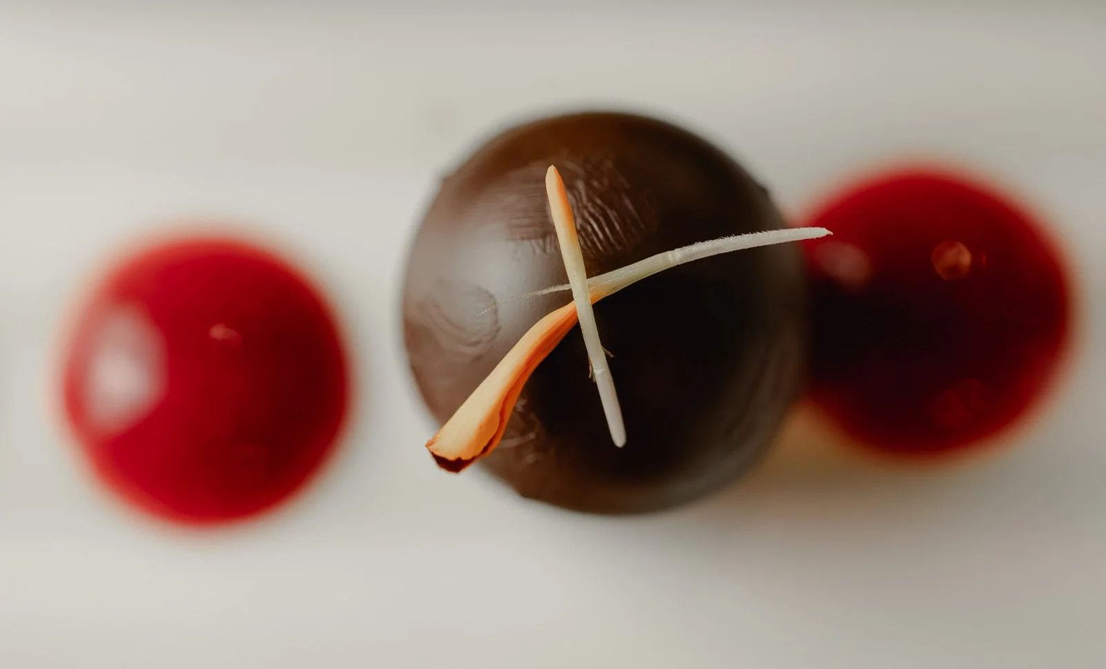 Schocko Praline auf einem weißen Hintergrund mit Himbeermousse. Die Praline hat eine weiße Keimung oder Wurzel auf ihrer Oberfläche. Restaurantfotografie Landgasthof Lamm in Ebnat.