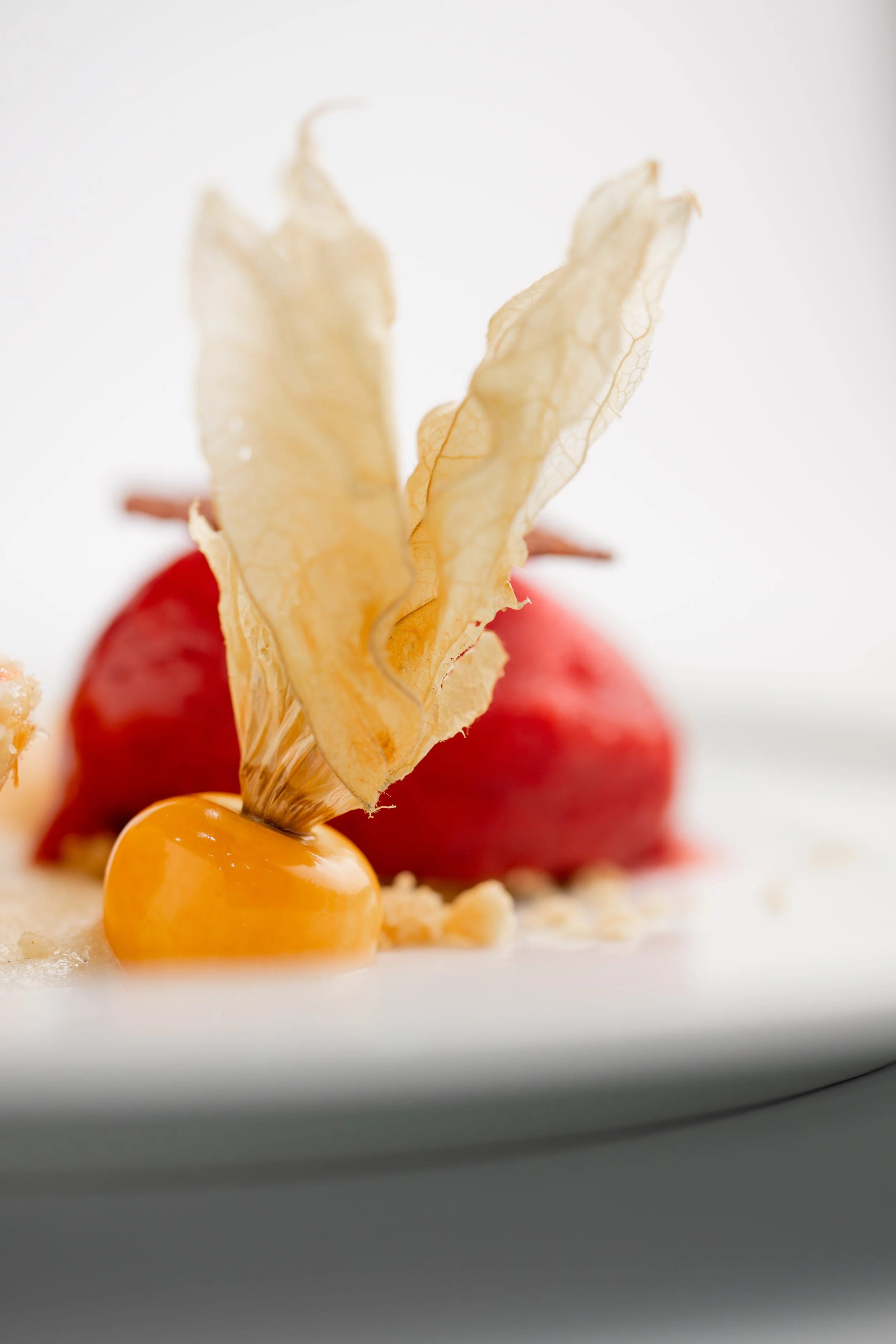 Nahaufnahme eines Desserts mit einer hellgelben Beere, Rote Beete Eis und knusprigen Dekorationen auf einem weißen Teller.