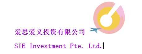 SIE Investment Pte. Ltd. 爱思爱义投资公司
