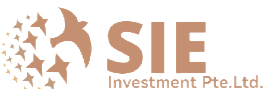 SIE Investment Pte. Ltd. 爱思爱义投资公司